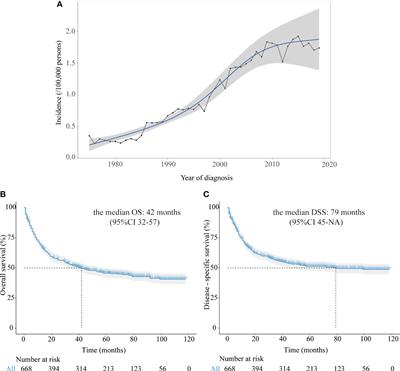 Epidemiological trends and novel prognostic evaluation approaches of patients with stage II-IV colorectal neuroendocrine neoplasms: A population-based study with external validation